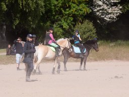 IMG_5566_web